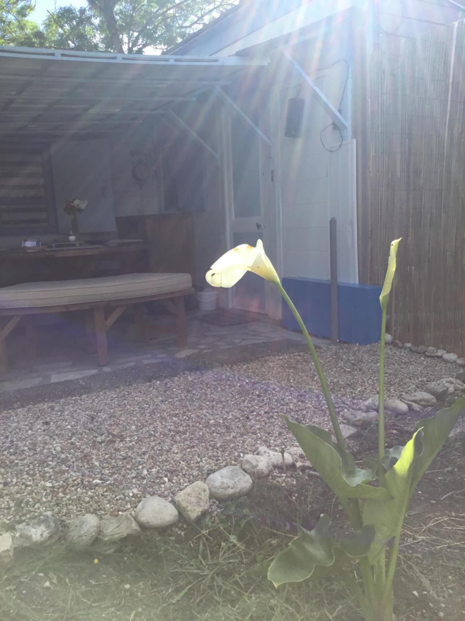La Cabane Oleronnaise Saint-Georges-d'Oleron Exterior photo
